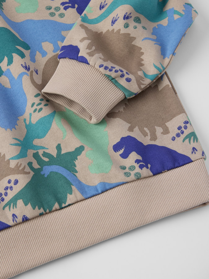 Sweatshirt dinosaurer Sweatshirt dinosaurer