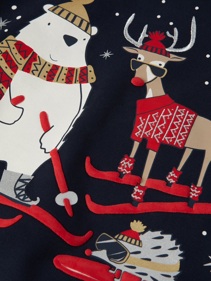 Collegegenser vinter Collegegenser vinter