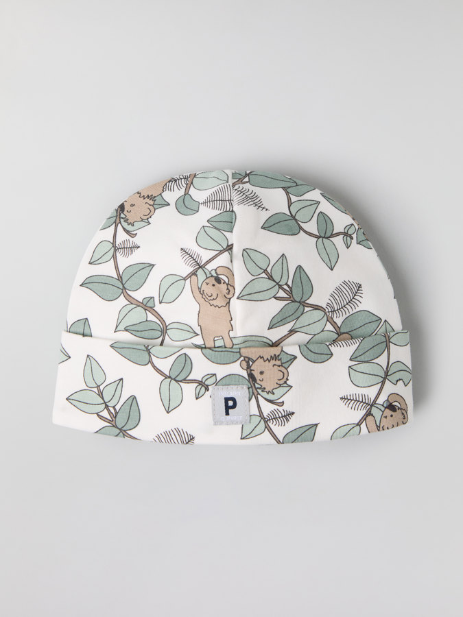 Lue koala