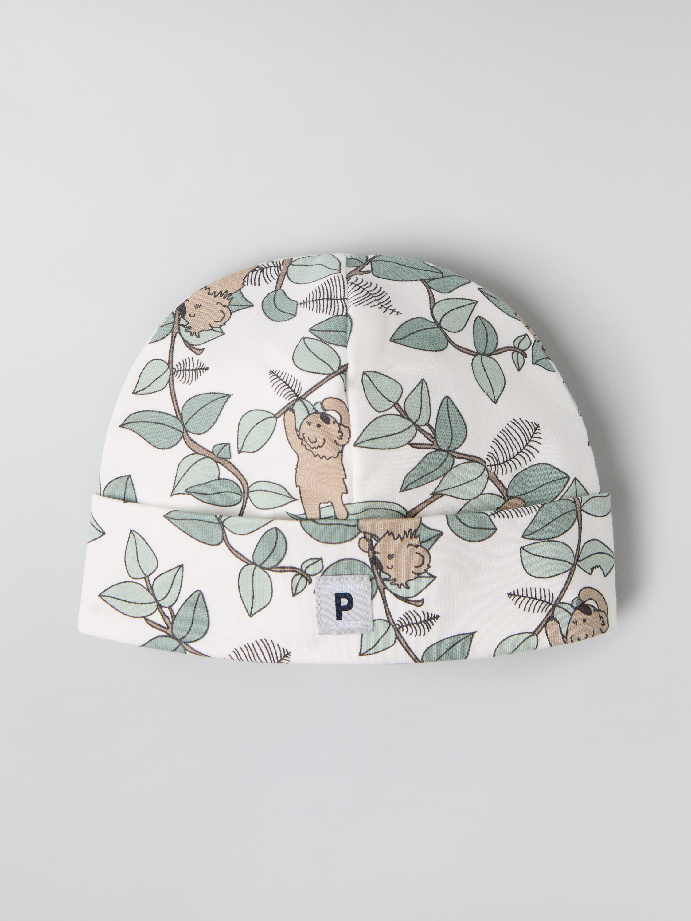 Lue koala