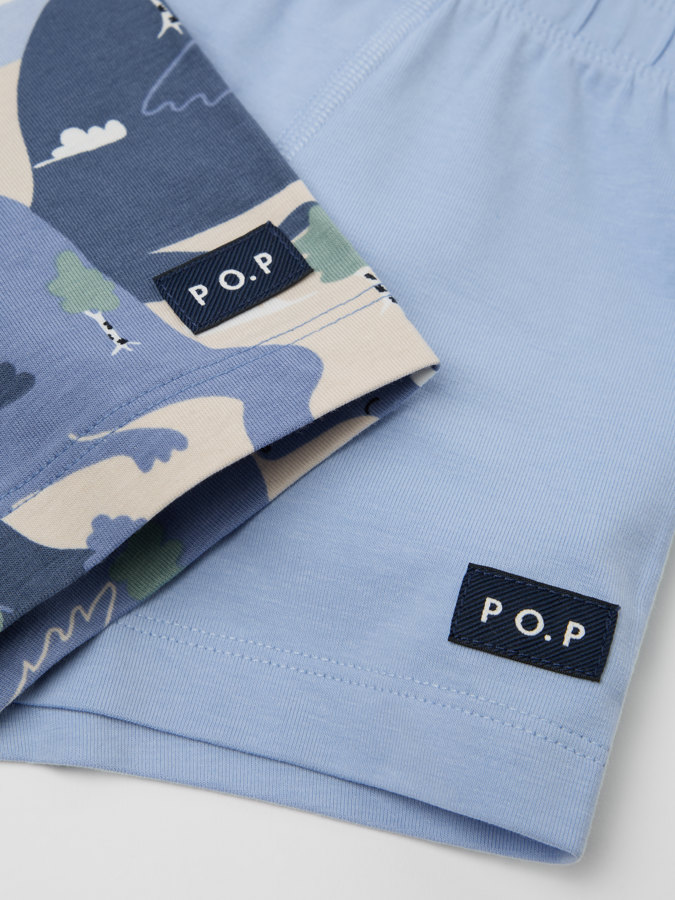 2-pakning boksershorts drager