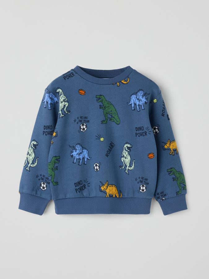 Sweatshirt dinosaurer