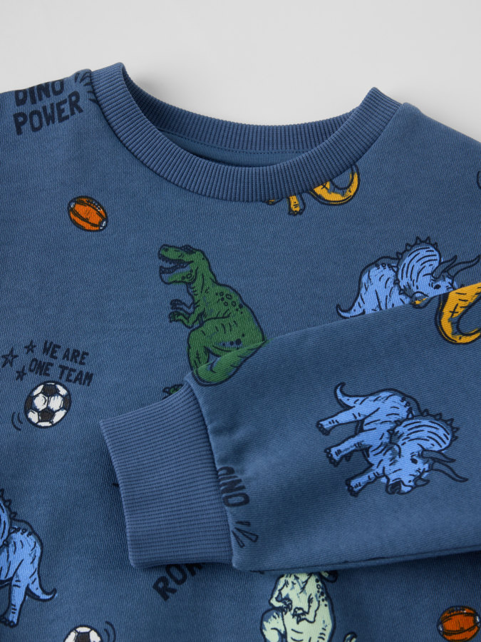 Sweatshirt dinosaurer Sweatshirt dinosaurer