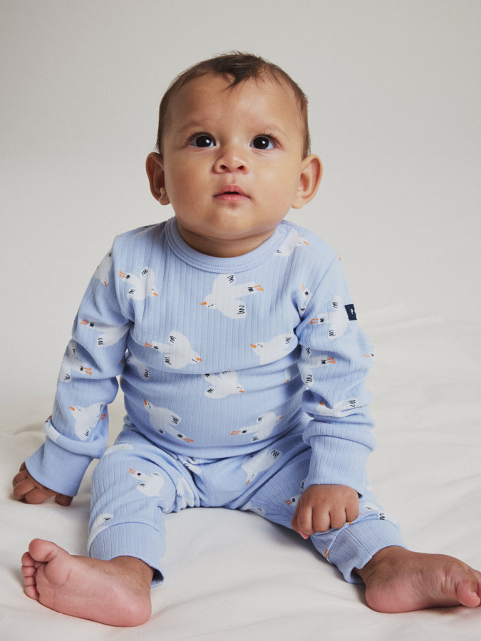 Ribbestrikket body fugler Ribbestrikket body fugler